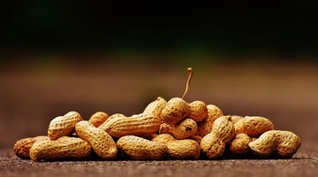 Living With Peanut Allergies - How To Still Enjoy The Foods You Love